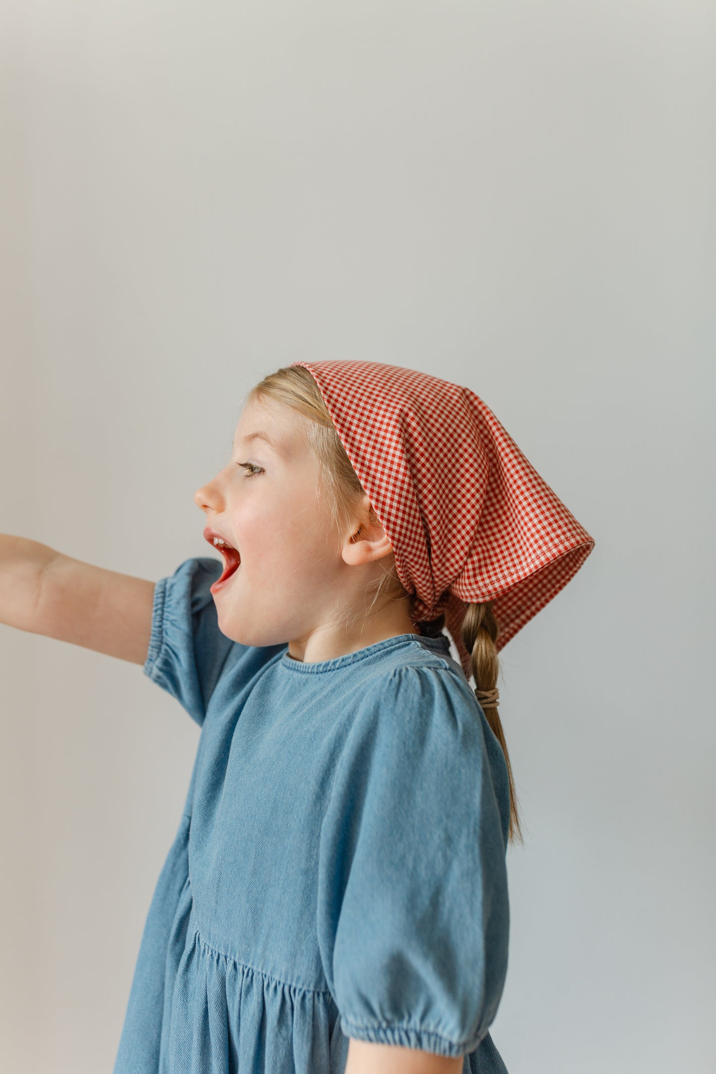 Eddie Scarf in Red Cotton Gingham