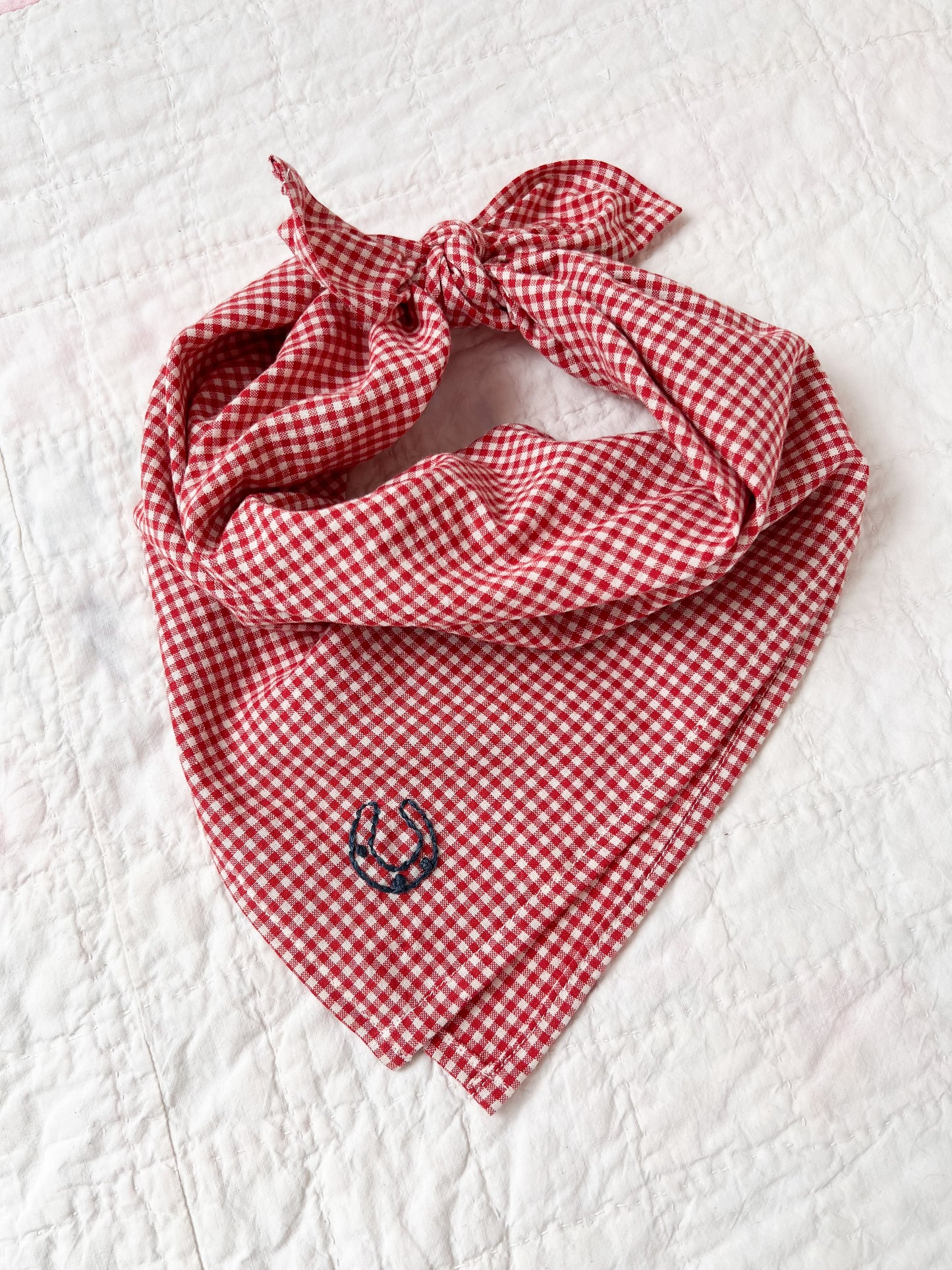 Eddie Scarf in Red Cotton Gingham